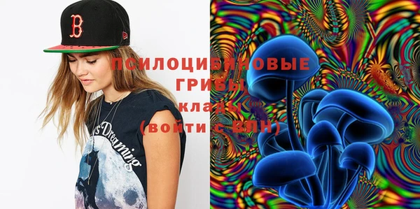 метадон Дмитриев