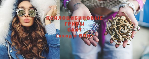 дживик Дмитров