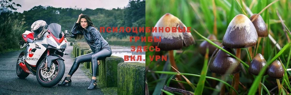 метадон Дмитриев