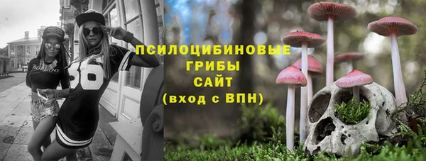 дживик Дмитров