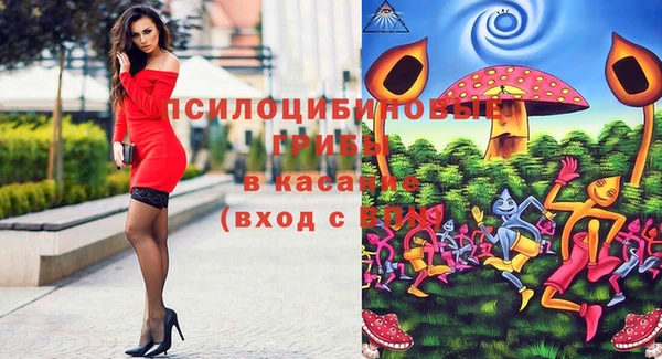 дживик Дмитров