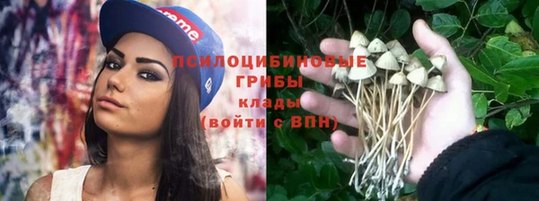 винт Семикаракорск