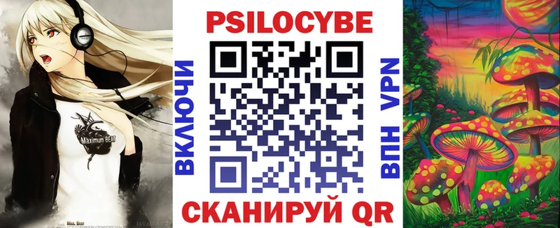 Псилоцибиновые грибы Magic Shrooms  как найти закладки  Владимир 